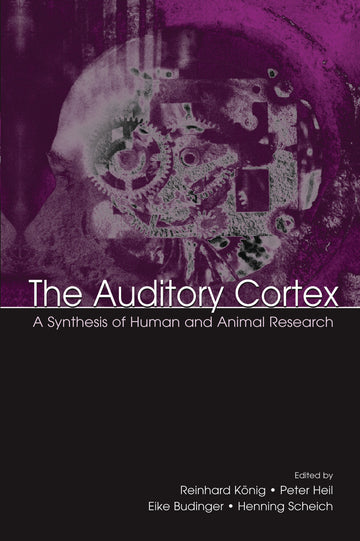 Auditory Cortex