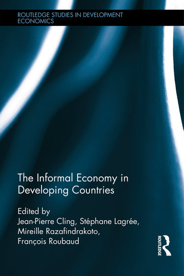 Informal Economy in Developing Countries