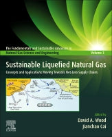 Sustainable Liquefied Natural Gas: Concepts and Applications for Net Zero Operations
