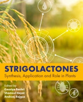 Strigolactones: Synthesis, Application and Role in Plants