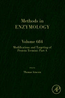 Modifications and targeting of protein termini