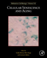 Cellular Senescence and Aging