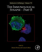 The Immunological Synapse Part B