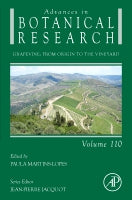 Grapevine: From Origin to the Vineyard