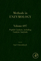 Peptide Catalysts, including Catalytic Amyloids