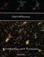 Glial Cell Function