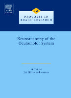Neuroanatomy of the Oculomotor System V151