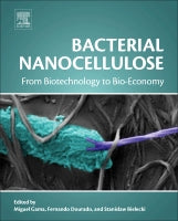 Bacterial Nanocellulose: From Biotechnology to Bio-Economy