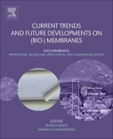 Silica Membranes: Preparation, Modelling, Application, and Commercialization