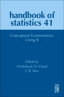 ECONOMETRICS USING R