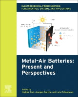 Electrochemical Power Sources: Fundamentals, Systems, and Applications-: Metal Air Batteries:⑅ Present and Perspective