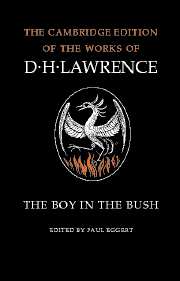 The Boy in the Bush