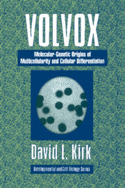 Volvox