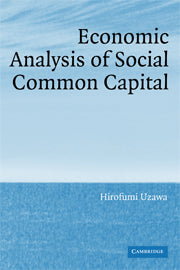 Economic Analysis of Social Common Capital