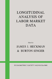 Longitudinal Analysis of Labor Market Data
