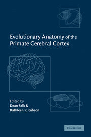 Evolutionary Anatomy of the Primate Cerebral Cortex