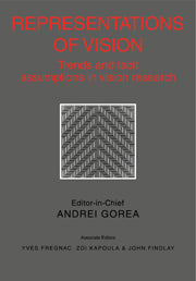 Representations of Vision