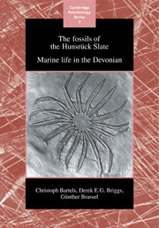 The Fossils of the Hunsrück Slate