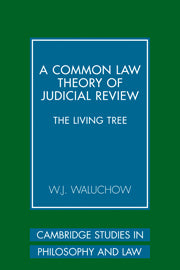 A Common Law Theory of Judicial Review