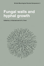 Fungal Walls and Hyphal Growth