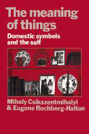 The Meaning of Things