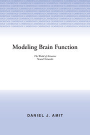 Modeling Brain Function