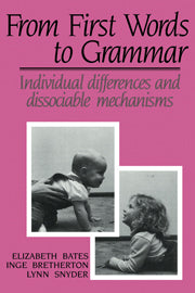 From First Words to Grammar