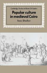 Popular Culture in Medieval Cairo