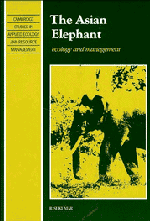 The Asian Elephant