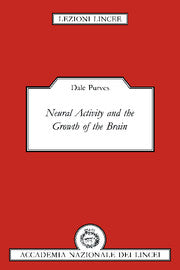 Neural Activity and the Growth of the Brain