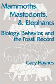 Mammoths, Mastodonts, and Elephants