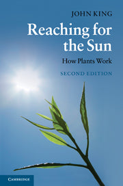 Reaching for the Sun