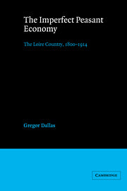 The Imperfect Peasant Economy