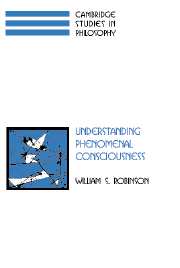 Understanding Phenomenal Consciousness
