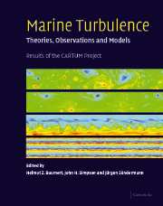 Marine Turbulence