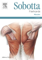 Sobotta Flashcards Muscles 1e