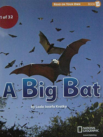 Reach for Reading K (Read On Your Own Books): A Big Bat