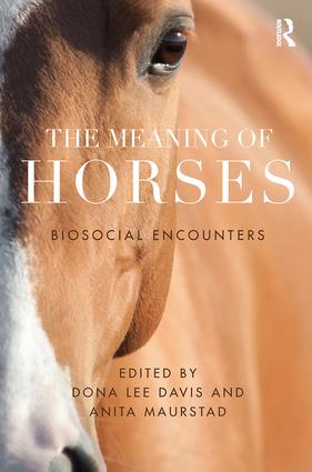 Meaning of Horses