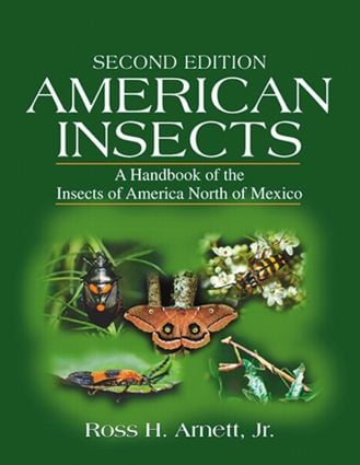 American Insects