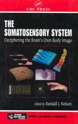 Somatosensory System
