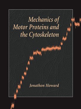 Mechanics Of Motor Proteins And The Cytoskeleton