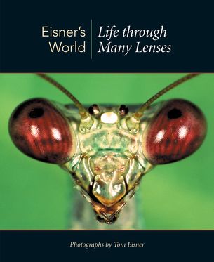 Eisners World