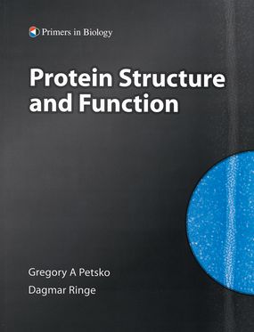 Protein Structure And Function