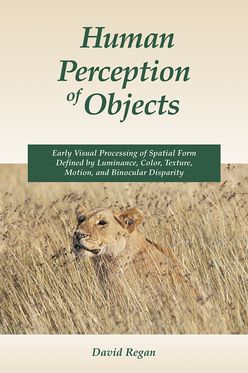 Human Perception Of Objects