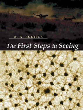 First Steps In Seeing, The