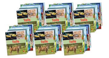 Flying Start to Literacy Phonics Module 2 Student Book Classroom Pack