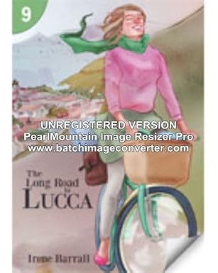 The Long Road to Lucca: Page Turners 9 (25-Pack)