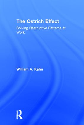 Ostrich Effect