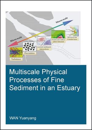 Multiscale Physical Processes of Fine Sediment in an Estuary