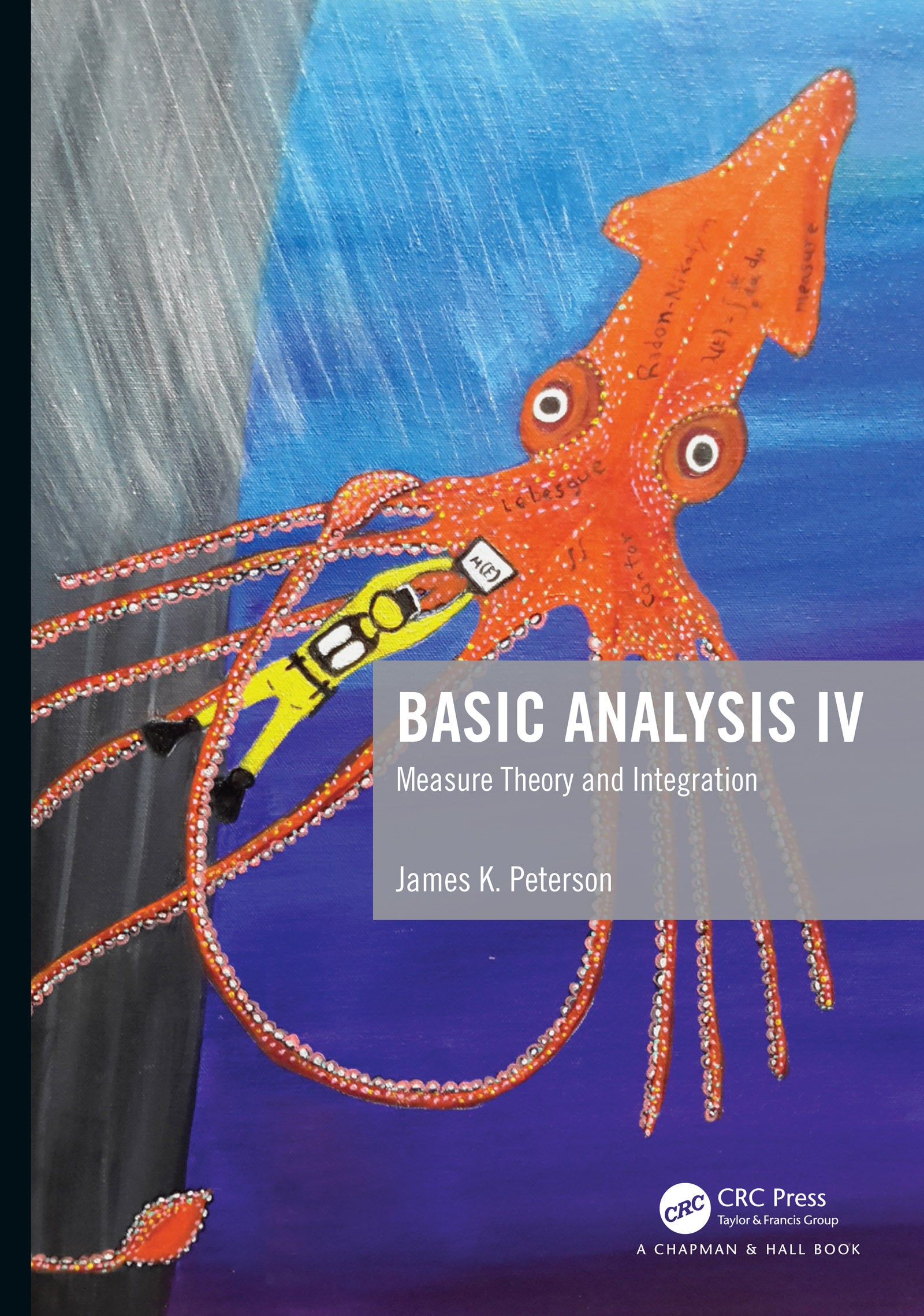 Basic Analysis IV